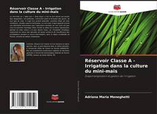 Copertina di Réservoir Classe A - Irrigation dans la culture du mini-maïs
