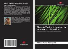 Copertina di Class A Tank - Irrigation in mini-corn cultivation