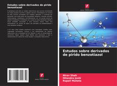 Bookcover of Estudos sobre derivados de pirido benzotiazol