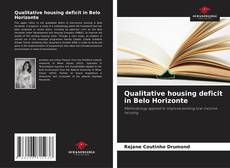 Copertina di Qualitative housing deficit in Belo Horizonte