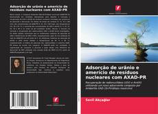 Adsorção de urânio e amerício de resíduos nucleares com AXAD-PR的封面
