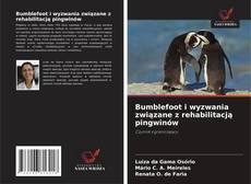 Bumblefoot i wyzwania związane z rehabilitacją pingwinów的封面
