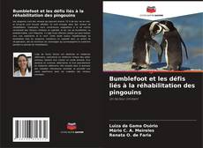 Bumblefoot et les défis liés à la réhabilitation des pingouins kitap kapağı