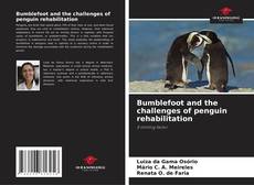 Bumblefoot and the challenges of penguin rehabilitation kitap kapağı
