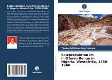 Buchcover von Salzproduktion im mittleren Benue in Nigeria, Westafrika, 1850-1960