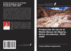 Capa do livro de Producción de sal en el Medio Benue de Nigeria, África Occidental, 1850-1960 