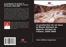 La production de sel dans le Moyen Bénoué au Nigeria, Afrique de l'Ouest, 1850-1960的封面