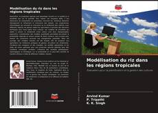 Modélisation du riz dans les régions tropicales kitap kapağı