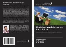 Copertina di Modelización del arroz en los trópicos