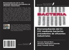 Copertina di Biorremediación del Cr (VI) mediante bacterias procedentes de efluentes industriales