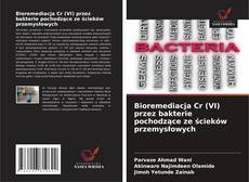 Buchcover von Bioremediacja Cr (VI) przez bakterie pochodzące ze ścieków przemysłowych