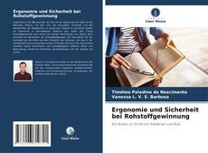 Copertina di Ergonomie und Sicherheit bei Rohstoffgewinnung