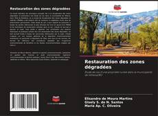 Capa do livro de Restauration des zones dégradées 
