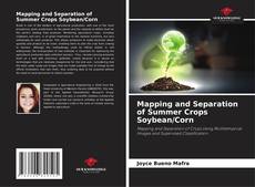 Borítókép a  Mapping and Separation of Summer Crops Soybean/Corn - hoz