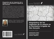 Buchcover von Diagnóstico de los impactos de la sequía en el Perímetro Irrigado de São Gonçalo
