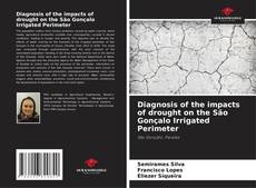 Diagnosis of the impacts of drought on the São Gonçalo Irrigated Perimeter kitap kapağı
