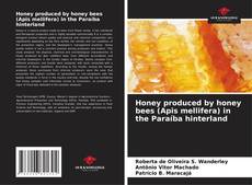 Copertina di Honey produced by honey bees (Apis mellifera) in the Paraíba hinterland