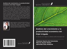 Buchcover von Análisis del crecimiento y la productividad económica del frijol irrigado