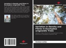 Copertina di Variation in Density and Fibres in Eucalyptus urograndis Trees