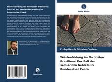 Wüstenbildung im Nordosten Brasiliens: Der Fall des semiariden Gebiets im Bundesstaat Ceará kitap kapağı