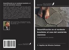 Copertina di Desertificación en el nordeste brasileño: el caso del semiárido cearense