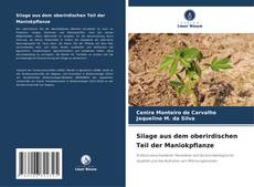 Buchcover von Silage aus dem oberirdischen Teil der Maniokpflanze