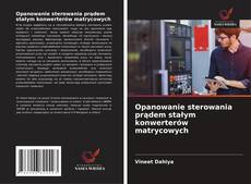 Buchcover von Opanowanie sterowania prądem stałym konwerterów matrycowych