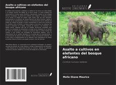 Copertina di Asalto a cultivos en elefantes del bosque africano