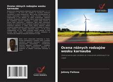 Ocena różnych rodzajów wosku karnauba的封面