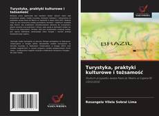 Turystyka, praktyki kulturowe i tożsamość的封面