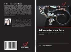 Szkice autorstwa Boza的封面