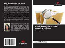 Обложка User perception of the Public Archives