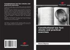 Constitutional law fact sheets and practical exercises kitap kapağı