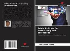 Copertina di Public Policies for Formalizing New Businesses
