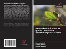 Gromadzenie kadmu w glebie i roślinach nawadnianych ściekami的封面