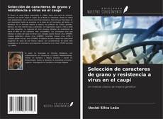 Обложка Selección de caracteres de grano y resistencia a virus en el caupí