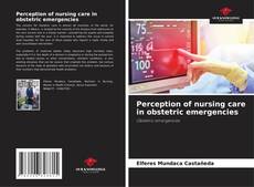 Perception of nursing care in obstetric emergencies的封面