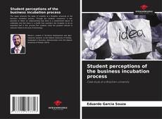 Student perceptions of the business incubation process kitap kapağı