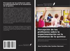 Copertina di Percepción de los profesores sobre la experimentación en la enseñanza de la química