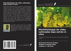 Copertina di Morfofisiología de vides cultivadas bajo estrés in vitro