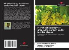 Morphophysiology of grapevines grown under in vitro stress的封面