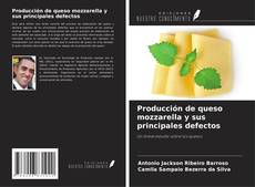 Capa do livro de Producción de queso mozzarella y sus principales defectos 