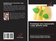Produkcja sera mozzarella i jego główne wady的封面