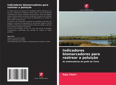Indicadores biomarcadores para rastrear a poluição的封面