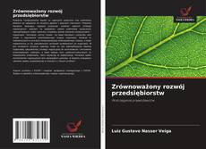 Zrównoważony rozwój przedsiębiorstw kitap kapağı