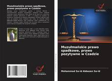 Muzułmańskie prawo spadkowe, prawo pozytywne w Czadzie的封面