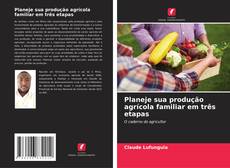 Planeje sua produção agrícola familiar em três etapas kitap kapağı