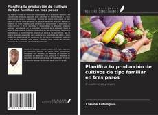 Copertina di Planifica tu producción de cultivos de tipo familiar en tres pasos
