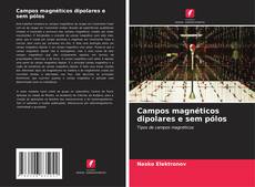 Campos magnéticos dipolares e sem pólos kitap kapağı