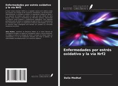 Buchcover von Enfermedades por estrés oxidativo y la vía Nrf2